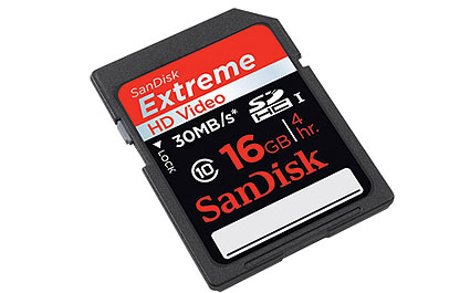GoPro 16GB SD Memory Card (Class 10)