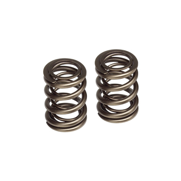 Skunk2 Valve Spring Set - K24A1-2 2.4L DOHC i-VTEC VALVE SPRING SET