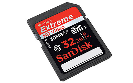 GoPro 32GB SD Memory Card (Class 10)