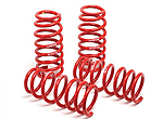 H&R Race Springs