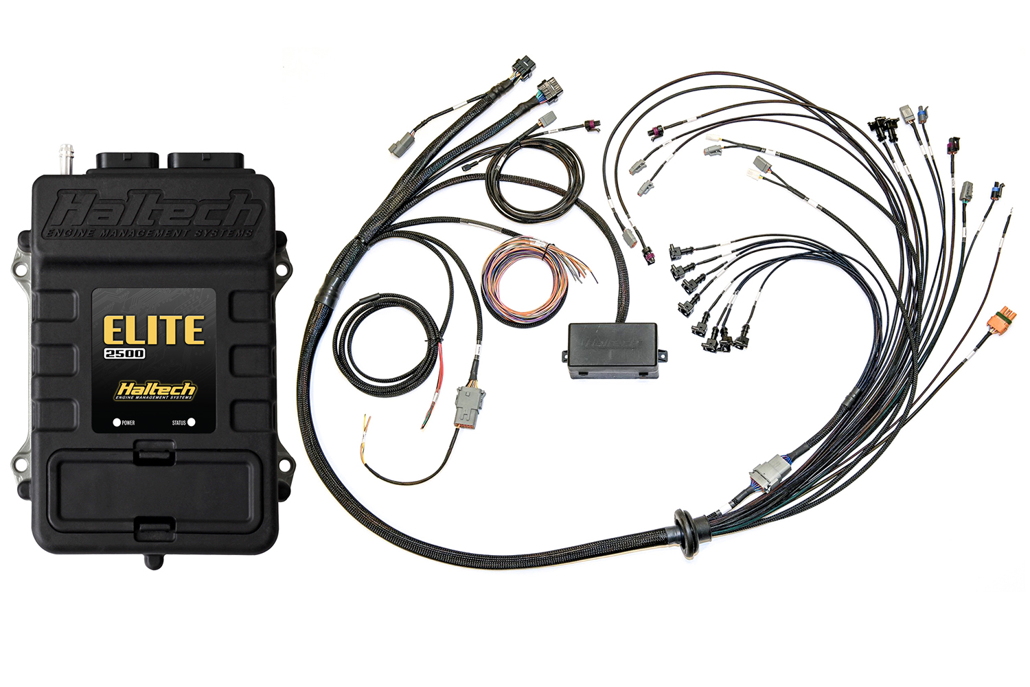 Haltech Elite 2500 + Early Cam Solenoid Engine Harness Mega Combo - Coyote 5.0L