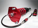 Race Quad Adjustable