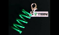 TEIN S. TECH Spring Keychain