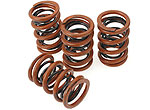 Valve Spring