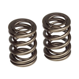 Skunk2 Valve Spring Set - Honda S2000 00+