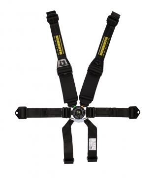 Schroth Racing SFI 16.5 Profi II Harness