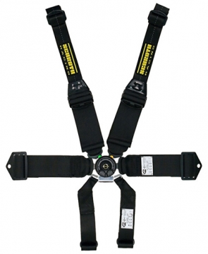 Schroth Racing SFI 16.5 Profi III-6 Harness