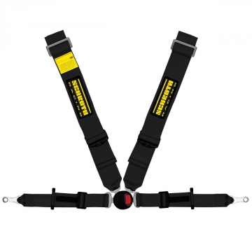 Schroth Profi II 4 ASM FE Harness