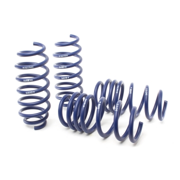 H&R Sport Springs - Tesla Model 3 RWD Long Range (non Air Susp) 17-19
