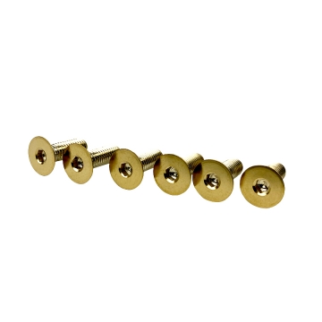 EVS Tuning Titanium Steering Wheel Screw Set - Gold