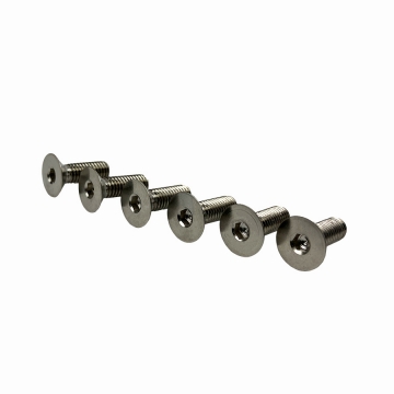 EVS Tuning Titanium Steering Wheel Screw Set - RAW