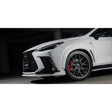 Artisan Spirits Black Label Over Fender Kit (CFRP) - Lexus NX 450h+ / NX 350 / NX 350h / NX 250 (Including F Sport) 2022+