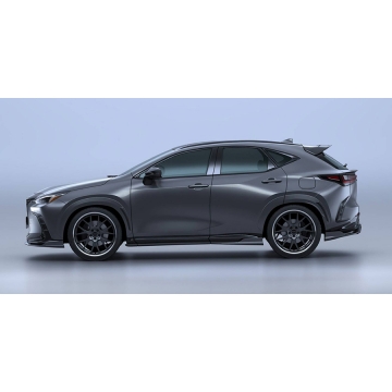 Artisan Spirits Black Label Over Fender Kit (FRP) - Lexus NX 450h+ / NX 350 / NX 350h / NX 250 (Including F Sport) 2022+