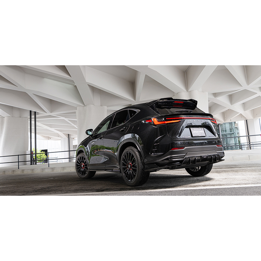 Full Fender and Mirror Kit | LEXUS NX 250 - 350 - 350h - 450h+ 2022 Full Fender and Mirror Kit | LEXUS NX 250 - 350 - 350h - 450h+ 2022