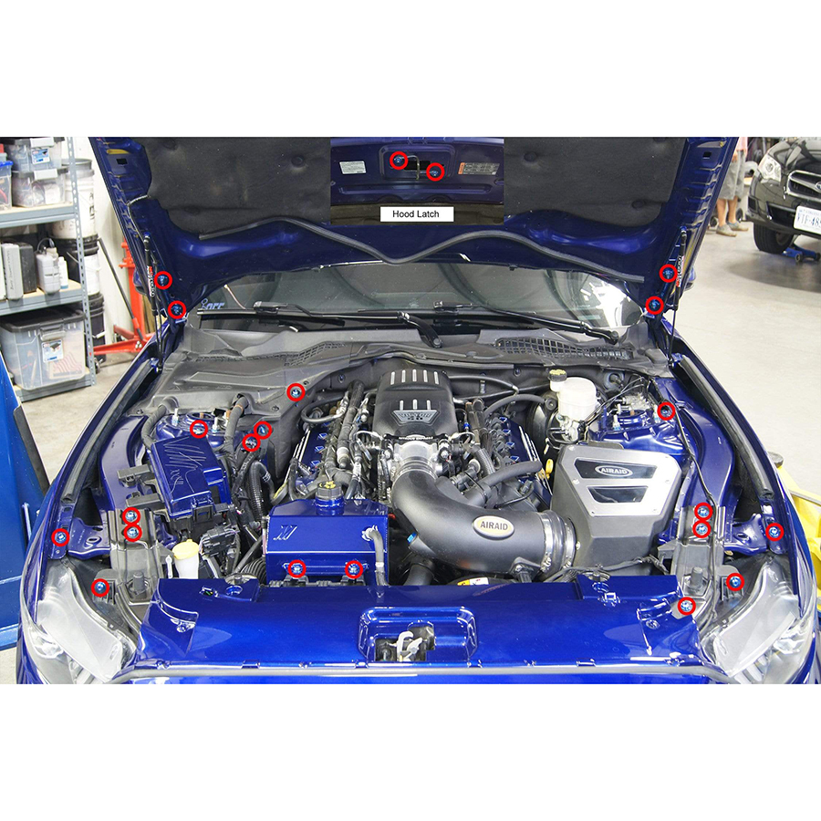 Dress Up Bolts Titanium Engine Bay Kit - Ford Mustang GT 15-17 (Blue) Dress Up Bolts Titanium Engine Bay Kit - Ford Mustang GT 15-17 (Blue)