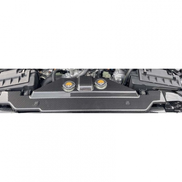 HKS Dry Carbon Radiator Cover - Nissan 400Z RZ34 VR30DDTT 2023+