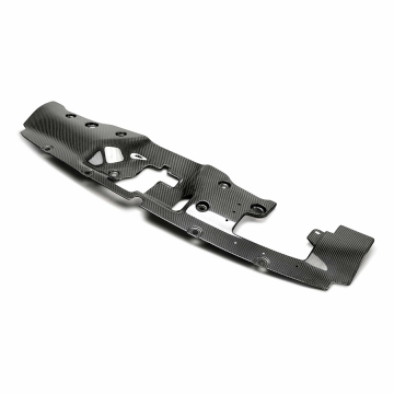 Seibon Carbon Fiber Cooling Plate - Honda Civic Type R FK8 17-21