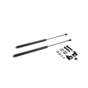Phase 2 Motortrend Carbon Series Hood Damper - Honda S2000 00-09