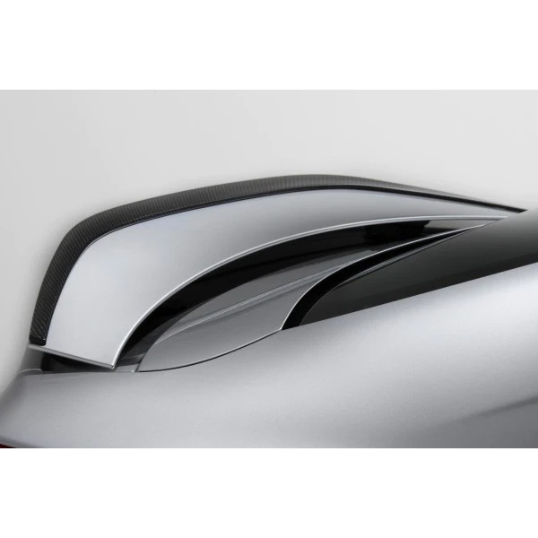 レクサス RC-F TOM's（トムス） ウイングエンドスポイラー カーボン Evasive Motorsports: TOM'S Racing Carbon Wing End Spoiler