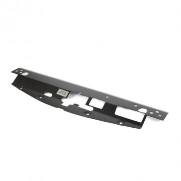 APR Performance Carbon Fiber Radiator Cooling Plate - Mitsubishi EVO VIII / IX 03-07