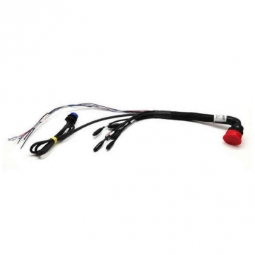 AIM MXL2/MXS/MXG 37-pin primary harness