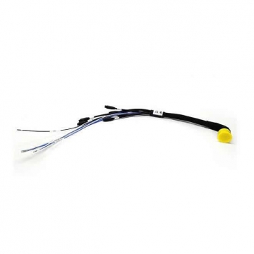 AIM MXL2/MXS/MXG 22-pin expansion harness