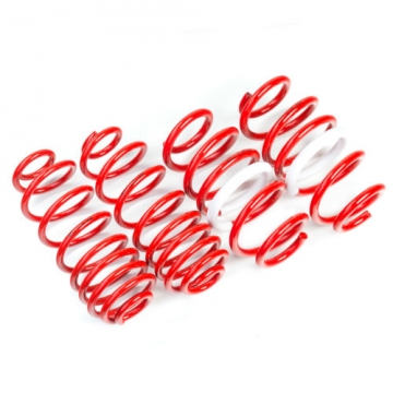 AST Lowering Springs - Tesla Model 3 Long Range AWD  18-23