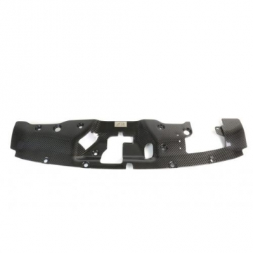 APR Performance Carbon Fiber Cooling Plate (Center) - Honda Civic Type R FK8 17-21
