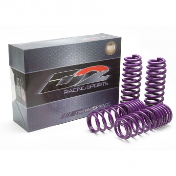 D2 Pro Lowering Springs - Tesla Model 3 RWD 17-23