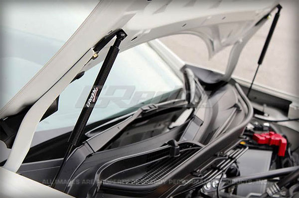 DGD 13 Evasive Motorsports: Greddy Carbon Hood Damper - Scion FR-S
