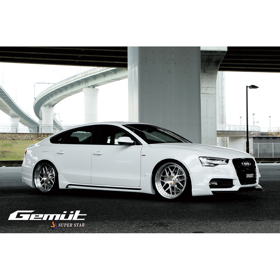gem　1225 GEM05-HSR-450.jpg