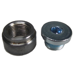 Link ECU O2 Exhaust Bung and Plug