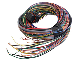 Link ECU Loom A (2.5m) - All wireIn ECUs