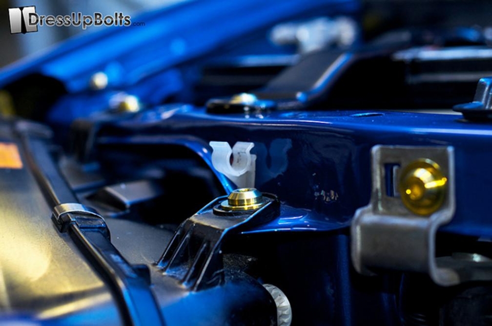 Evasive Motorsports: Dress Up Bolts Titanium Engine Bay Kit - Nissan  Skyline R34 98-02 (Gold)