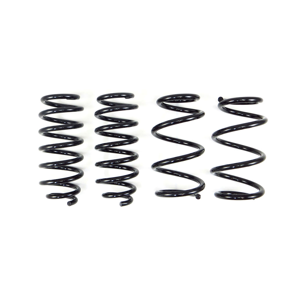 Evasive Motorsports: RS-R TI2000 Down Sus Lowering Springs - Tesla 