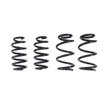 RS-R Ti2000 Down Sus Lowering Springs - Tesla Model 3 (AWD) 17-23
