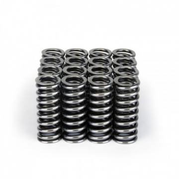 Skunk2 Alpha Valve Spring Set - Honda D-Series SOHC VTEC