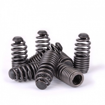 Skunk2 Lost Motion Assembly Spring Kit - Honda / Acura B16 / B17 / B18C Engines or VTEC Cylinder Heads