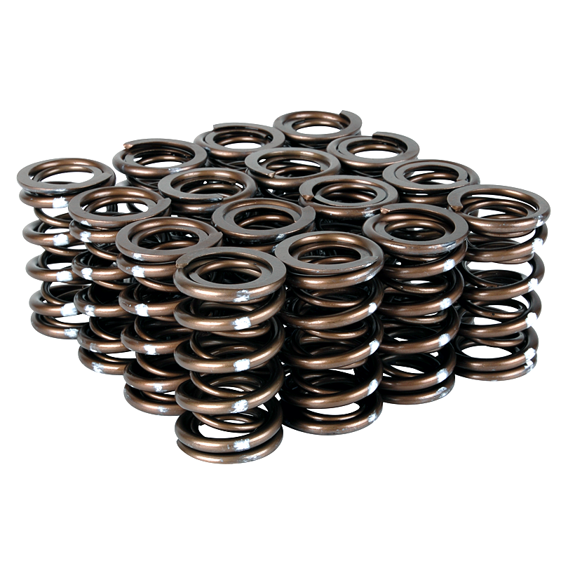 Evasive Motorsports: Skunk2 Pro Series XP Valve Springs - Acura / Honda