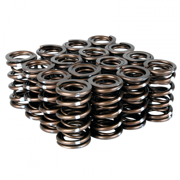 Skunk2 Pro Series XP Valve Springs - Acura / Honda K20A / K20A2 / K20Z1 / K20Z3 / K24A2 / F20C / F22C Engines