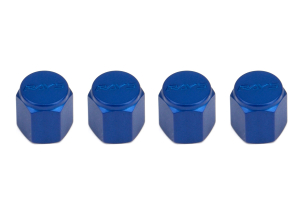 Rays Engineering Valve Cap Set - Blue
