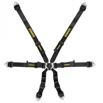 Schroth Flexi 2x2 Harness